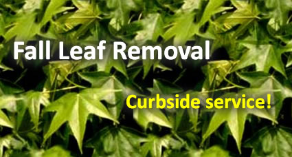 leaf removal service photo